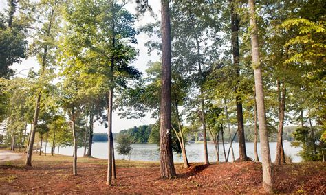 Lake Oconee Vacation Rentals | Cottage and House Rentals | Airbnb