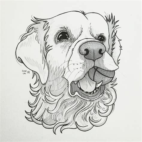 Drawings of Different Dog Breeds - Doodlers Anonymous