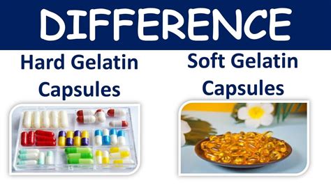 Difference between Hard Gelatin and Soft Gelatin Capsule - YouTube