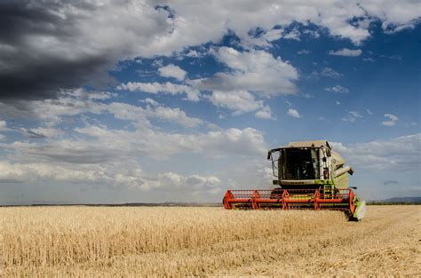 Farmers make major progress in harvesting: Sask. Crop Report - My ...