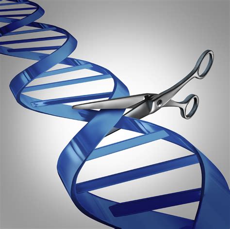 3 big questions about CRISPR human gene editing - CBS News