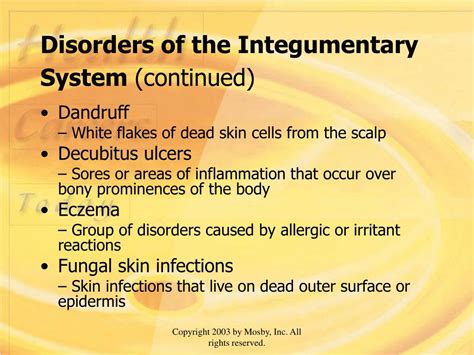 PPT - CHAPTER 9 INTEGUMENTARY SYSTEM PowerPoint Presentation, free download - ID:151196