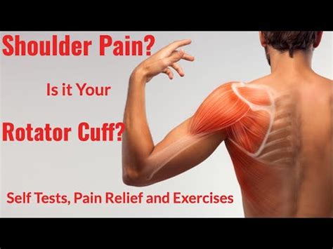 Shoulder Pain - Rotator Cuff?: Tests, Pain Relief and Exercises - Exercise At HomeExercise At Home