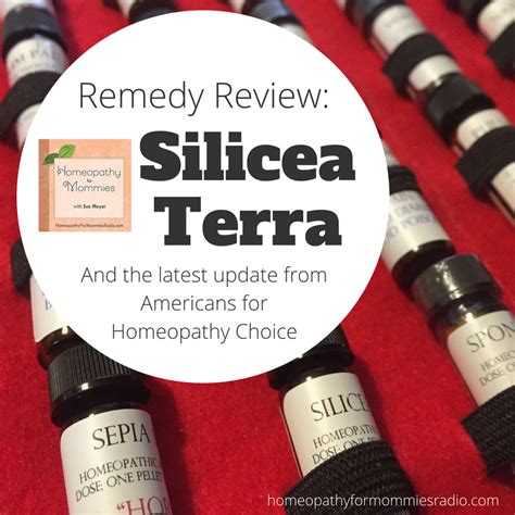 Remedy Review: Silicea terra (and an update from Americans for Homeopathy Choice) - Ultimate ...