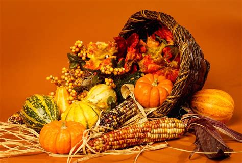 Horn Of Plenty - Thanksgiving Photograph by Photo File - Pixels