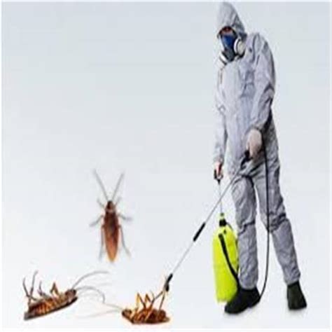 A Completely Odourless Cockroach Control Services at Best Price in ...