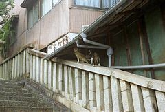 Category:Exterior stair railings in Japan - Wikimedia Commons