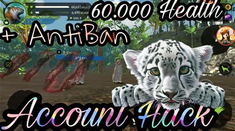 The Tiger Sim Online 60.000Health + Antiban - YouTube