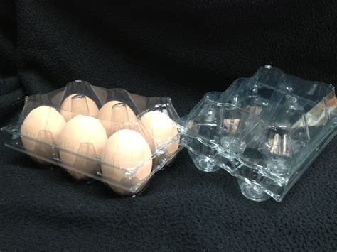 Murray McMurray Hatchery - Clear Plastic Egg Cartons - Package of 50