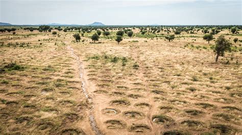 Call for help as Horn of Africa drought worsens, 20 million at risk of ...