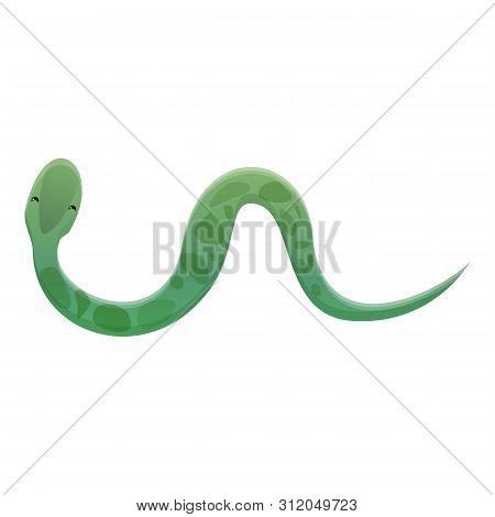 Top View Snake Icon. Vector & Photo (Free Trial) | Bigstock