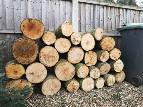 Logs Ash Hardwood unseasoned unsplit firewood | in Nuthall, Nottinghamshire | Gumtree