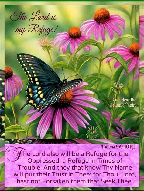 Pin by Delyse Avril on Scripture of the day in 2024 | Beautiful morning ...