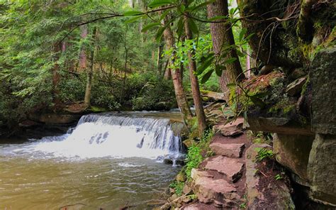 8+ Gorgeous Waterfalls In Maryland - Sunshine Whispers