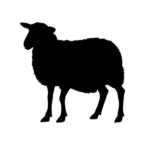 Sheep silhouette isolated on white background. Vector illustration 24390965 Vector Art at Vecteezy