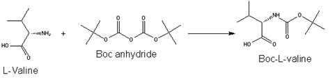 Protecting Groups for Peptide Synthesis - Boc and Fmoc - Peptide Guide