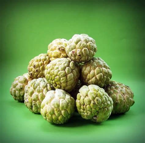 🥇 Cherimoya Benefits【 2021 】Tree, Seeds and How to Eat