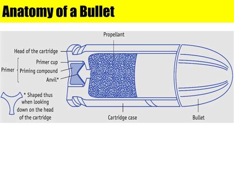 PPT - Firearms PowerPoint Presentation, free download - ID:3574888