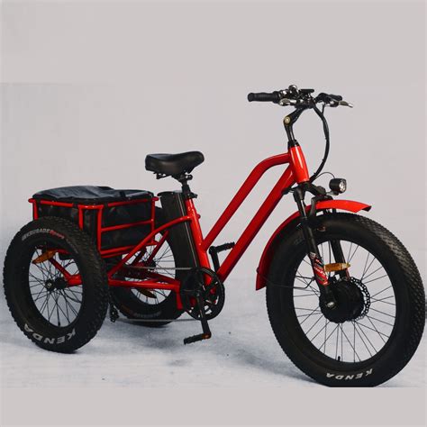 Adult 3 Wheel Electric Bicycle/ Lithium Battery Electric Tricycle Cargo - China Electric Bike ...