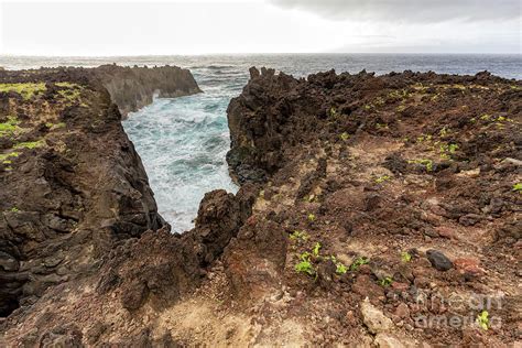 Volcanic Azores Coast Photograph by Danaan Andrew - Pixels