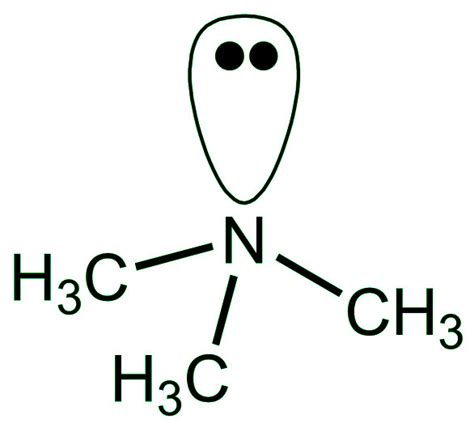 Nomenclature des Amines – StackLima