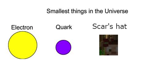 [Smallest things in the universe] Scar's hat is the smallest thing in ...