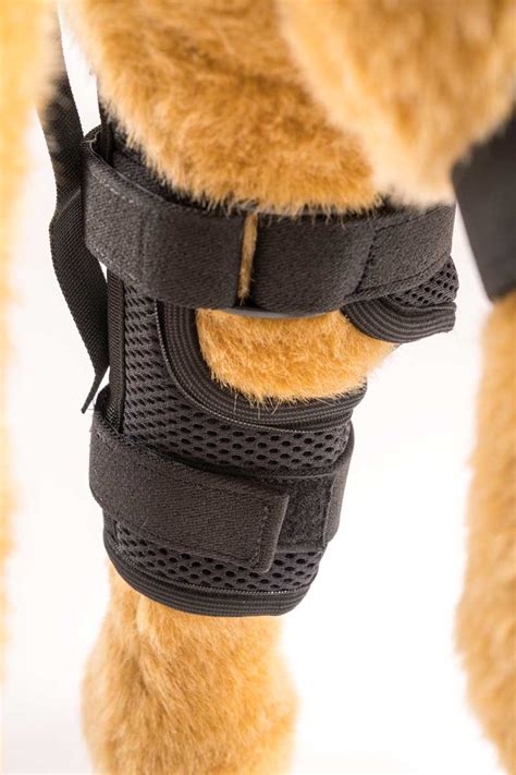 Extra Knee Brace with Anchor - Ortho Dog