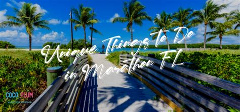 25 Unique Things to Do in Marathon, Florida: Your Ultimate Guide | Coco ...