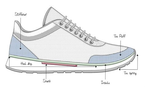 Anatomy of the Shoe