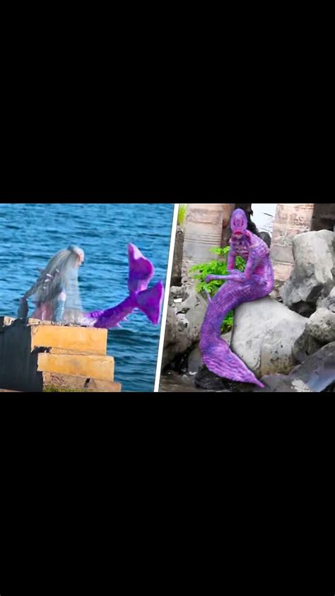 Top 10 Mysterious Mermaid Sightings That Will Blow Your Mind