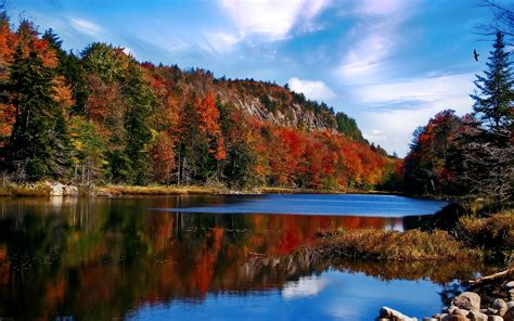 🔥 [40+] Adirondack Mountains Wallpapers | WallpaperSafari