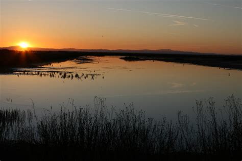 Tulare Lake Basin - Water Education Foundation