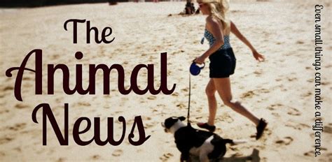 The Animal News: December 2011