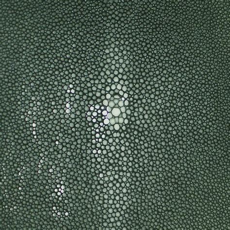 SHAGREEN STINGRAY - EMERALD 1 | Stingray skin, Shagreen, Stingray