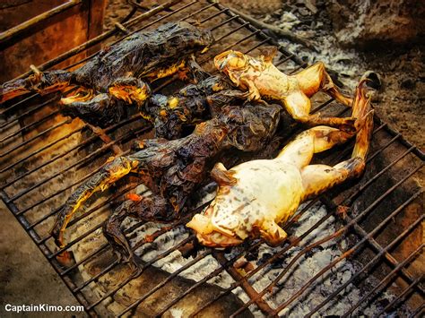 Grilled Frog Cooking Over Clay Kiln at Grandma’s House | HDR ...