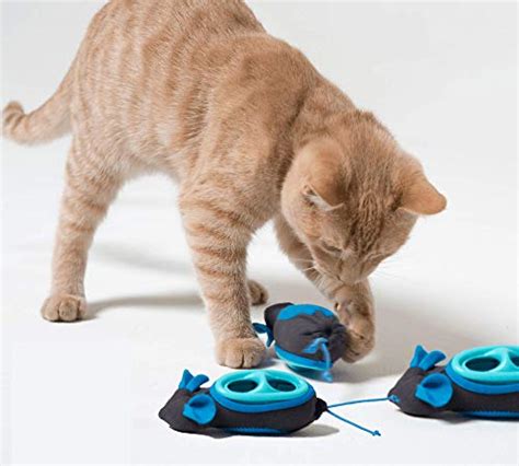 5 Best Cat Puzzle Toys for 2019 (These Really Work) | The Dog People by Rover.com