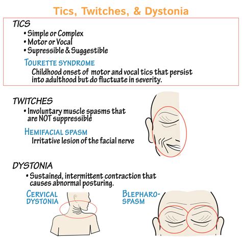 Neuroanatomy Glossary: Tics & Tourette Syndrome | Draw It to Know It