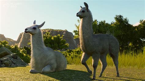 Planet Zoo: South America Pack | wingamestore.com