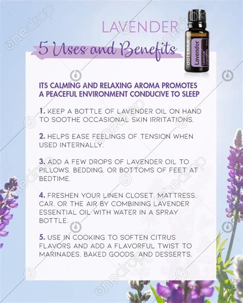 5 USES AND BENEFITS dōTERRA Lavender ESSENTIAL OIL by ConceptB Boheme