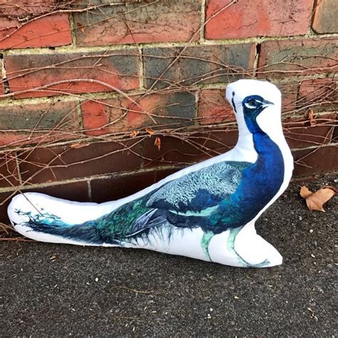 Peacock Peacocks Peacock Pillow Peacock Gifts Gift for | Etsy