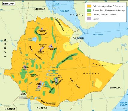 Ethiopia vegetation map. EPS Illustrator Map | Vector World Maps