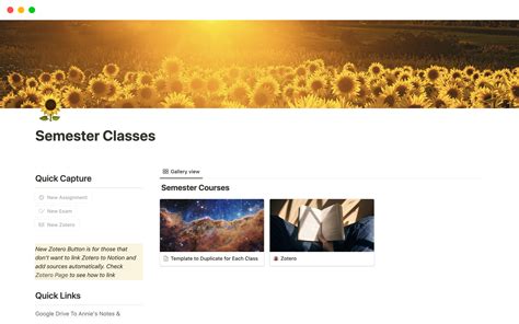 Semester Classes Template | Notion Marketplace