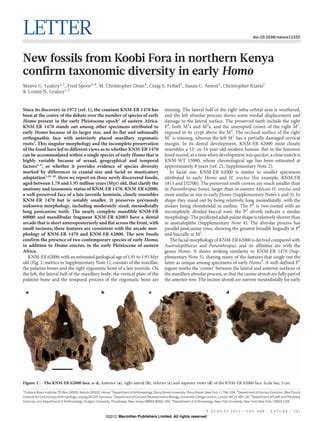 New fossils from koobi fora in northern kenya confirm taxonomic diversity in early homo | PDF