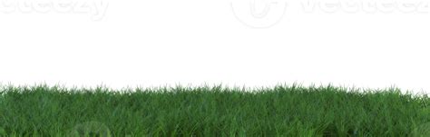 Grass on transparent background. Meadow, lawn as foreground. Lower ...