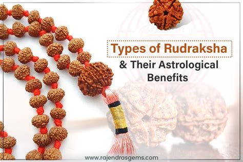 21 Types of Rudraksha and their Astrological Benefits