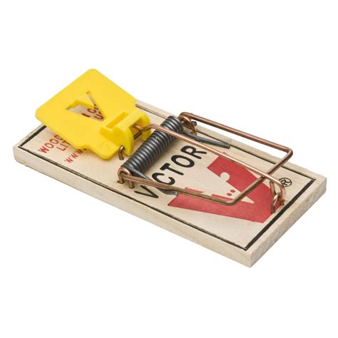 Case of Easy Set® Mouse Traps | Bulk Wooden Traps