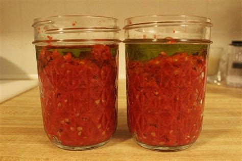 Easy Peasy Tomato Paste | Canning recipes, Homemade tomato paste, Tomato paste