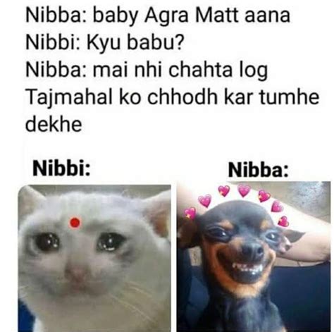 Nibba Nibbi Meaning In Hindi | निब्बा निब्ब्बी क्या होता है?