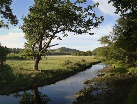 Green Pastures and Still Water - Jacque Watkins