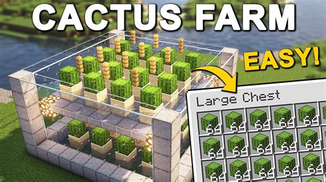 The EASIEST Cactus Farm in Minecraft 1.21 (Tutorial) - YouTube